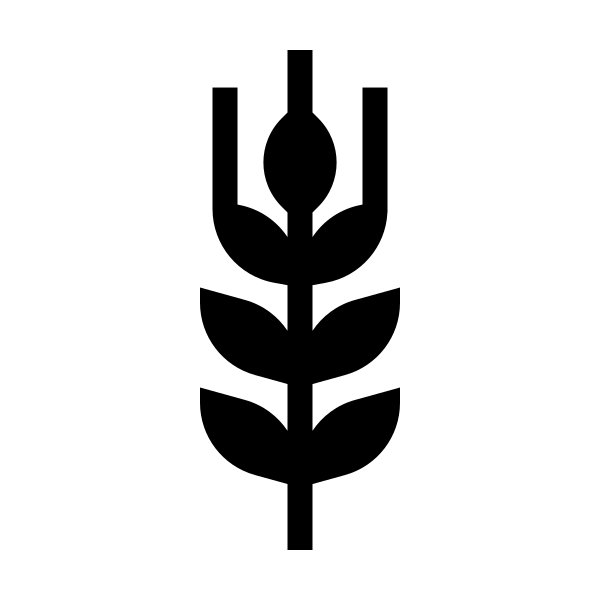 Gluten