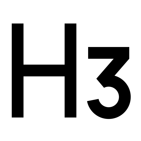H 3