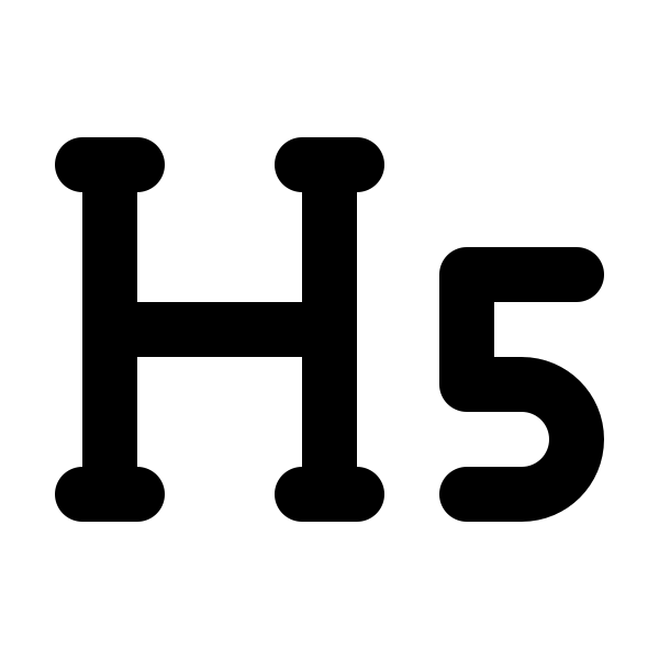 H 5