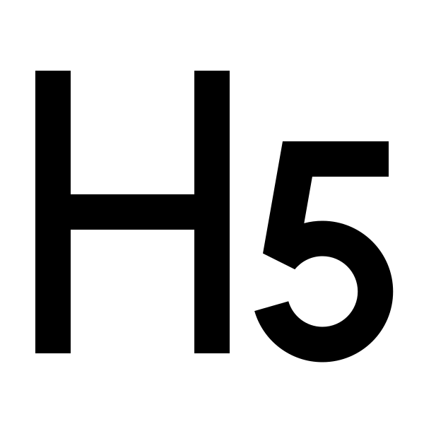 H 5