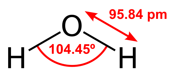 H2O 2D Labelled