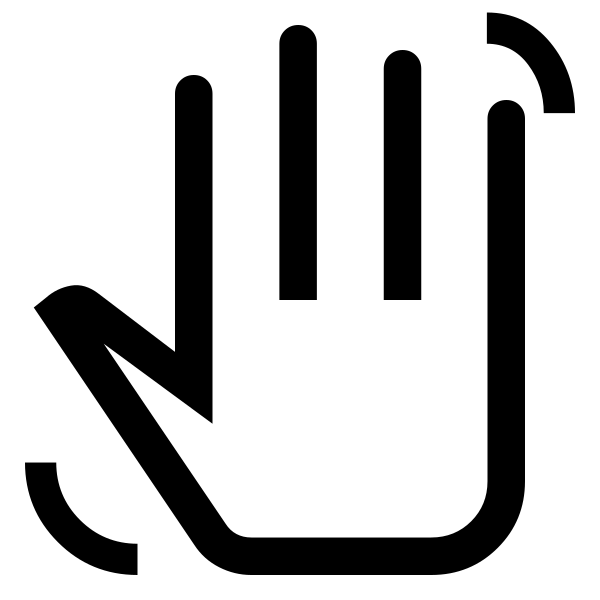 Hand Gesture