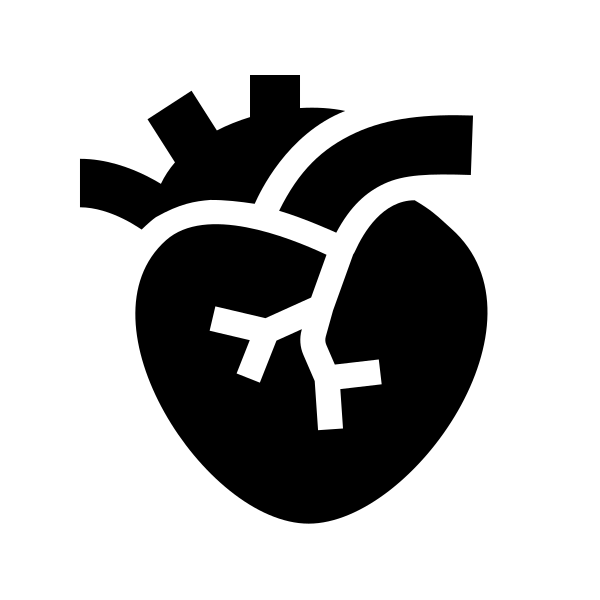 Heart Organ