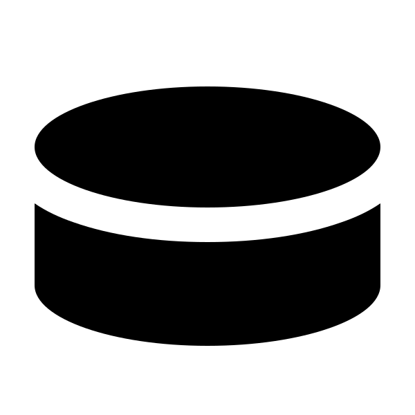 Hockey Puck