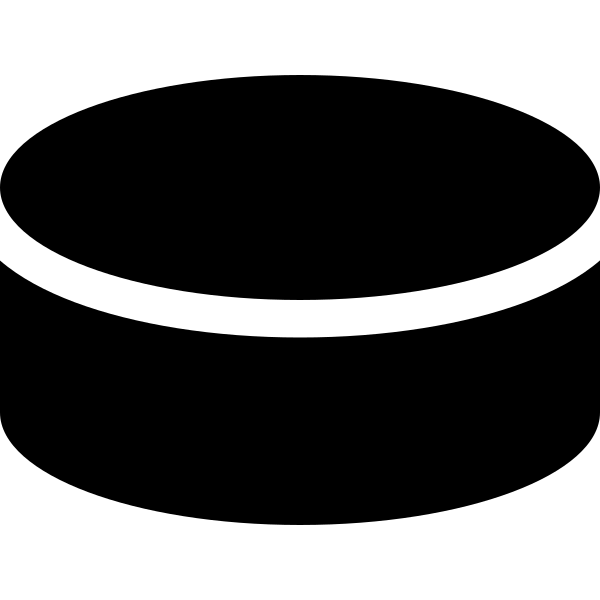 Hockey Puck