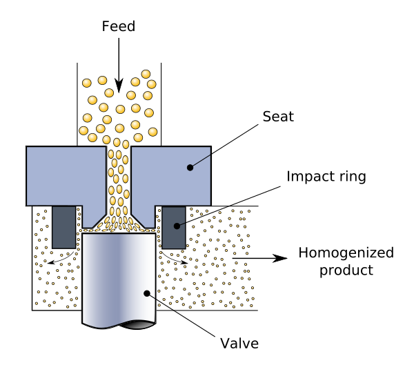 Homogenizing Valve