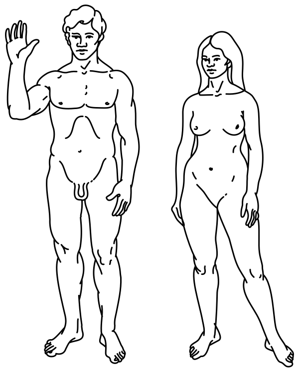 Human Vector