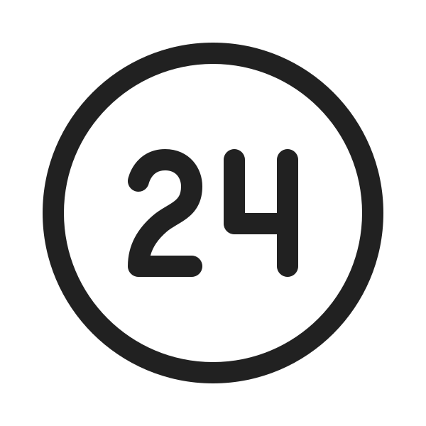 Ic Fluent Access Time 20 Regular