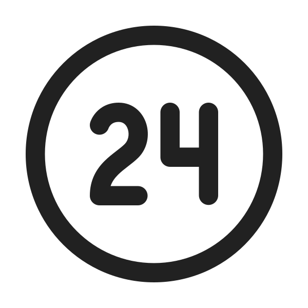 Ic Fluent Access Time 24 Regular