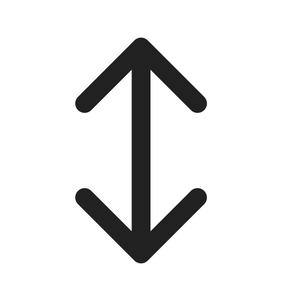 Ic Fluent Arrow Bidirectional Up Down 16 Regular