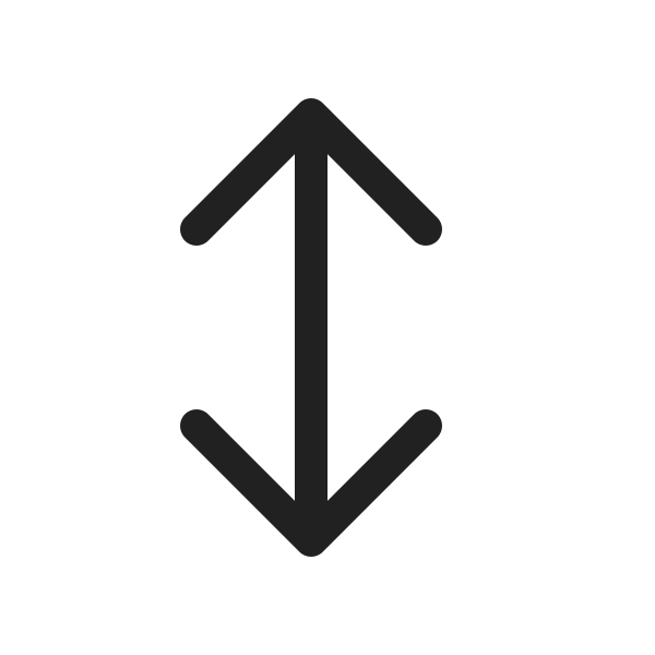 Ic Fluent Arrow Bidirectional Up Down 20 Regular