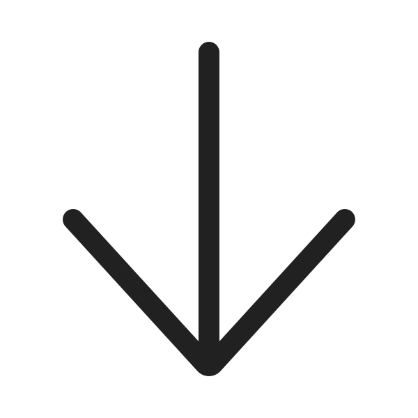 Ic Fluent Arrow Down 20 Regular