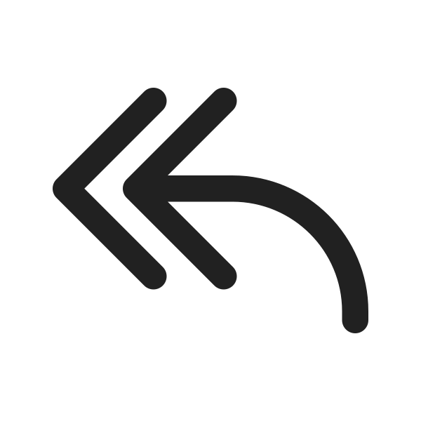 Ic Fluent Arrow Reply All 24 Regular