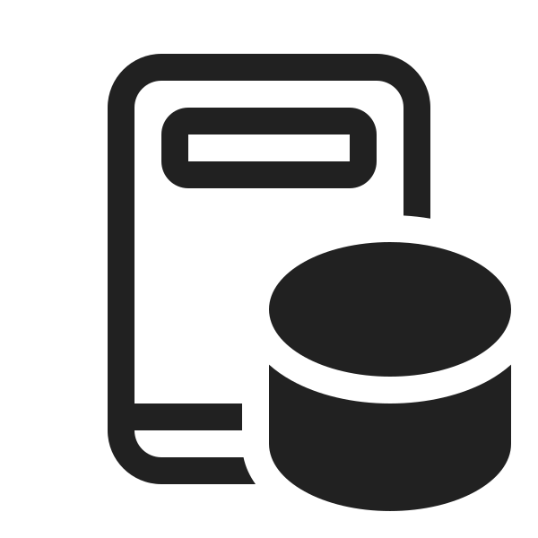 Ic Fluent Book Database 20 Regular