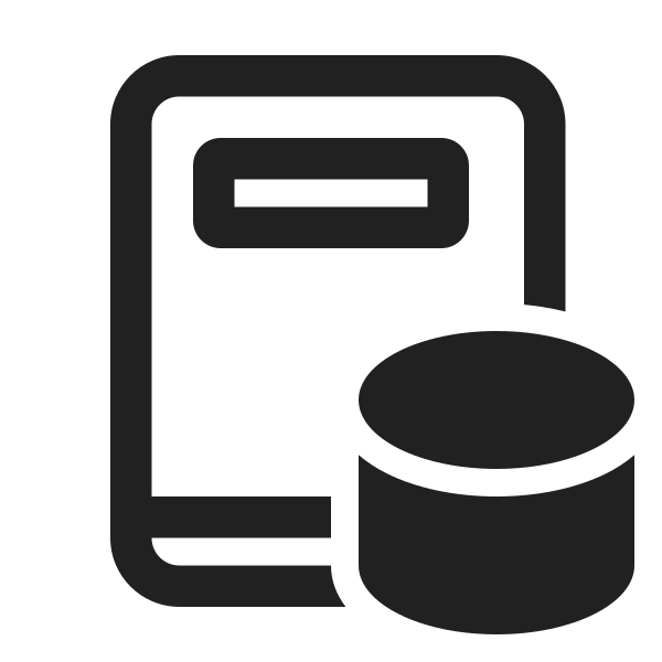 Ic Fluent Book Database 24 Regular