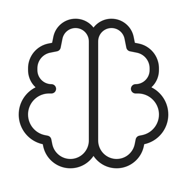 Ic Fluent Brain 20 Regular