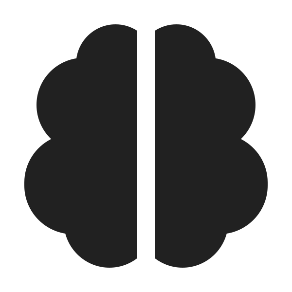 Ic Fluent Brain 24 Filled