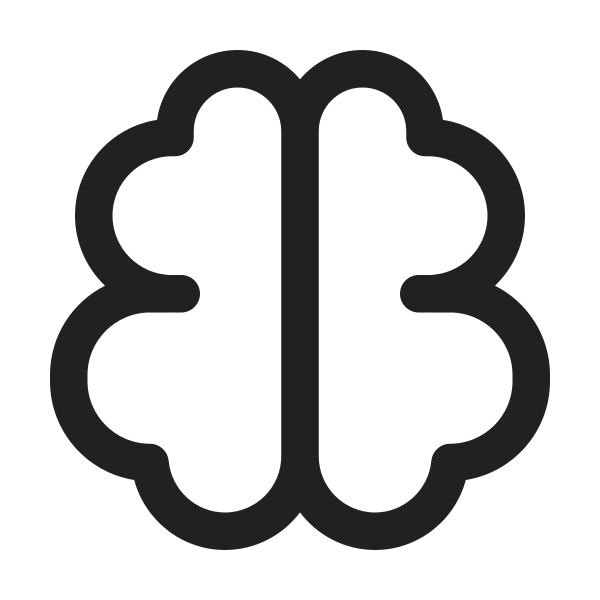 Ic Fluent Brain 24 Regular