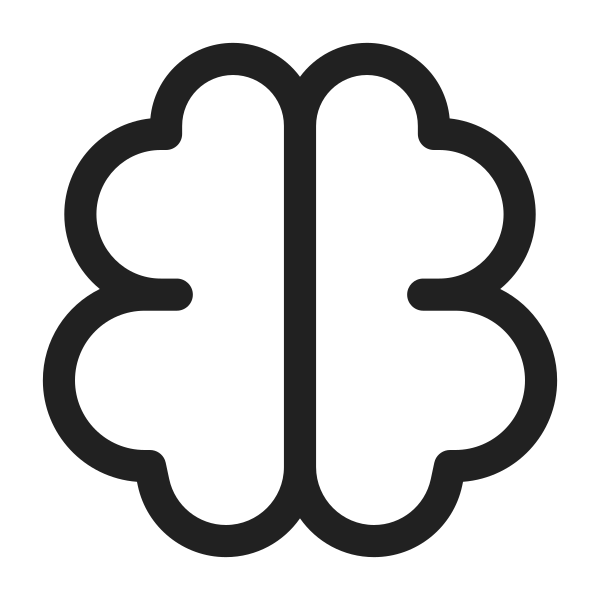 Ic Fluent Brain 28 Regular
