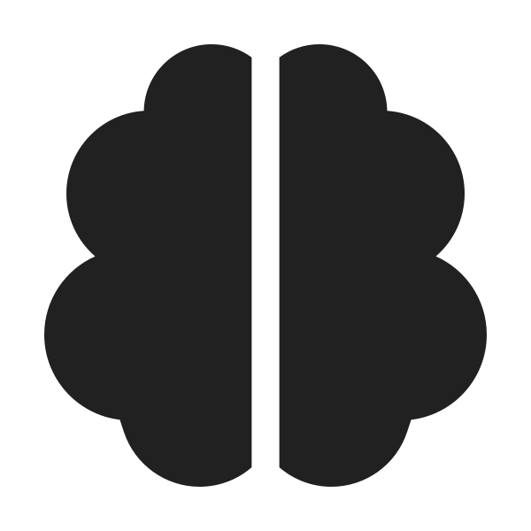 Ic Fluent Brain 48 Filled