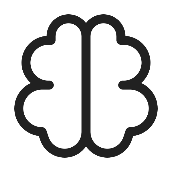 Ic Fluent Brain 48 Regular