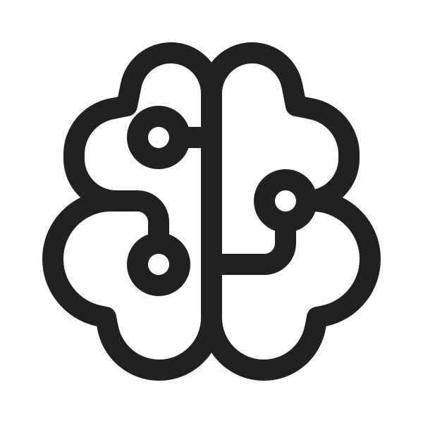 Ic Fluent Brain Circuit 20 Regular