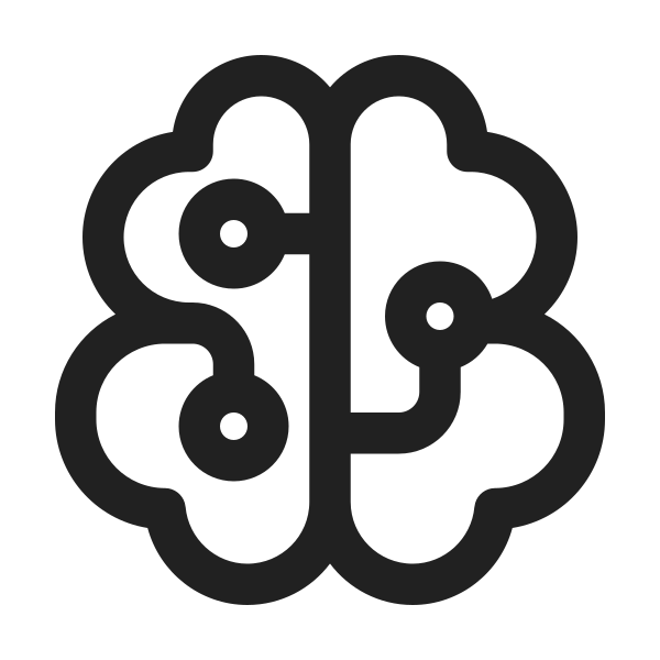 Ic Fluent Brain Circuit 24 Regular