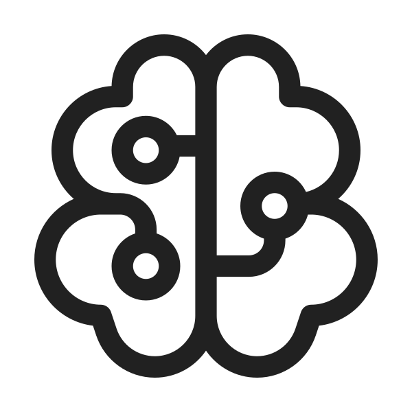 Ic Fluent Brain Circuit 48 Regular