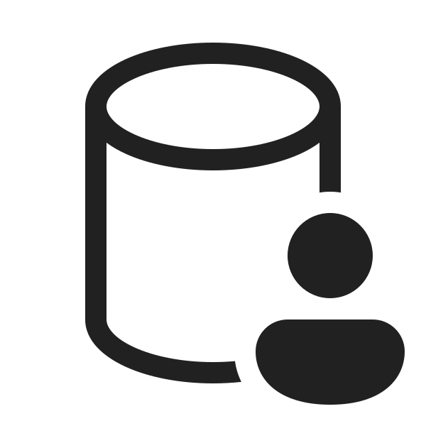 Ic Fluent Database Person 20 Regular