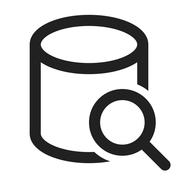 Ic Fluent Database Search 24 Regular
