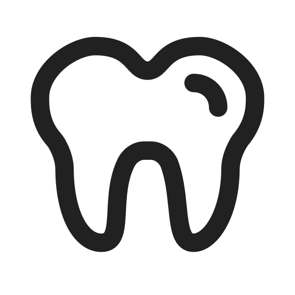 Ic Fluent Dentist 24 Regular