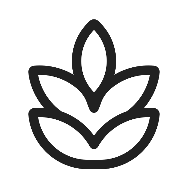 Ic Fluent Food Grains 20 Regular
