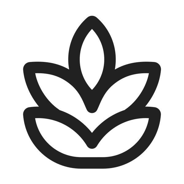 Ic Fluent Food Grains 24 Regular