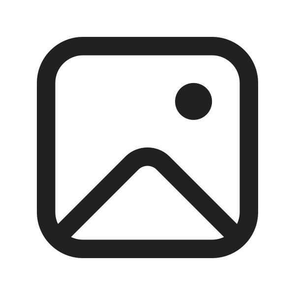 Ic Fluent Image 16 Regular