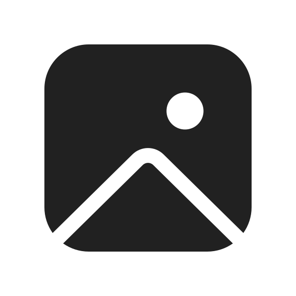 Ic Fluent Image 20 Filled