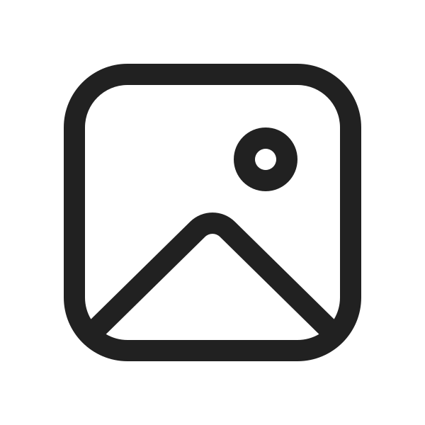 Ic Fluent Image 20 Regular