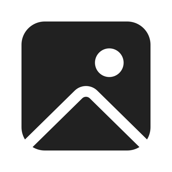 Ic Fluent Image 24 Filled