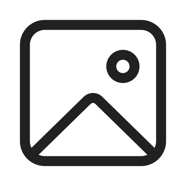 Ic Fluent Image 28 Regular