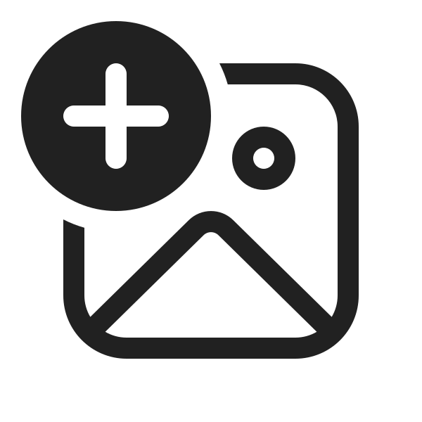 Ic Fluent Image Add 20 Regular