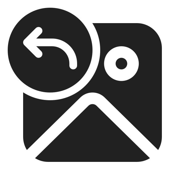 Ic Fluent Image Arrow Back 24 Filled