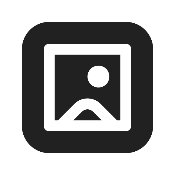 Ic Fluent Image Border 16 Filled