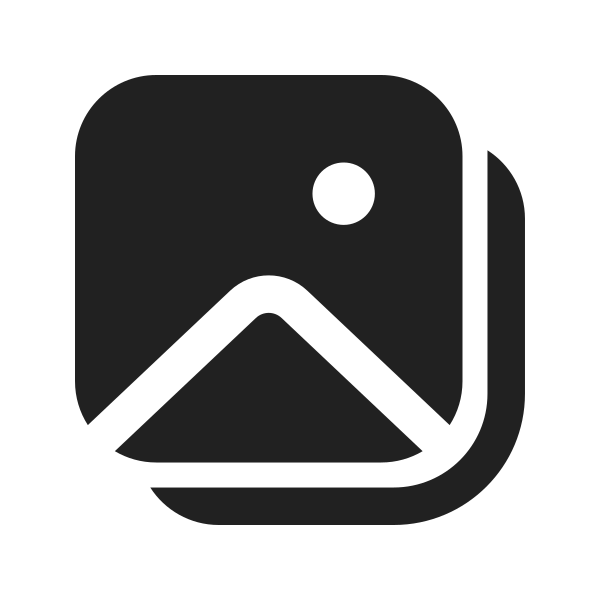 Ic Fluent Image Multiple 24 Filled