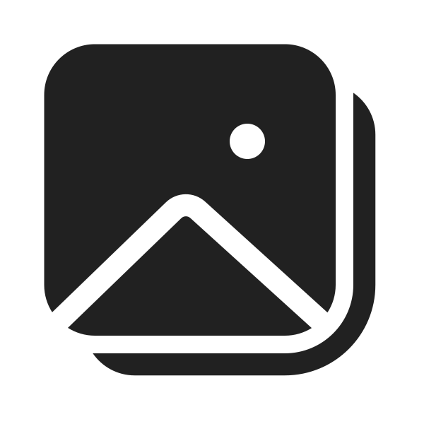 Ic Fluent Image Multiple 48 Filled