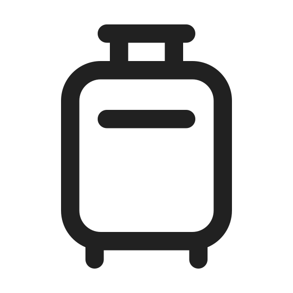 Ic Fluent Luggage 24 Regular