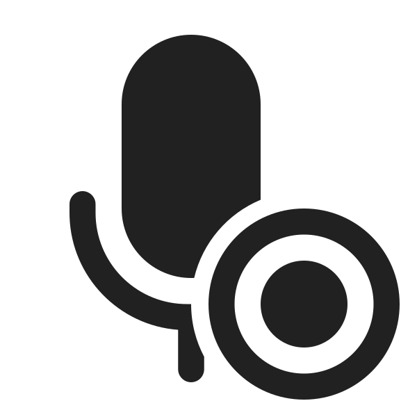 Ic Fluent Mic Record 24 Filled