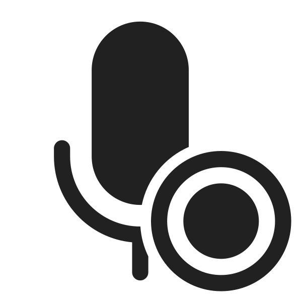 Ic Fluent Mic Record 28 Filled