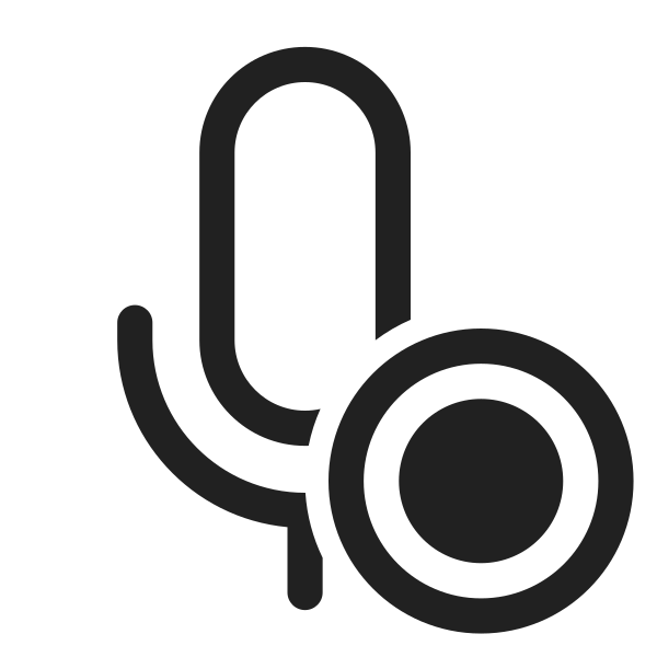 Ic Fluent Mic Record 28 Regular