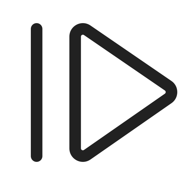 Ic Fluent Next Frame 24 Regular