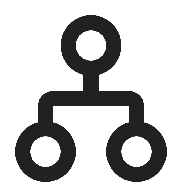 Ic Fluent Organization 12 Regular