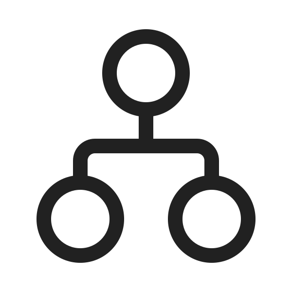 Ic Fluent Organization 20 Regular